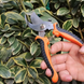 Набір садових інструментів у кейсі Gardening Set ART 14 в 1 (Сталь, Помаранчевий/Чорний) &mdash; Універсальний садовий інвентар NART14 фото 7