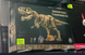 Великий колекційний конструктор Jurassic World Скам'янілості динозаврів Тиранозавр Рекс T-Rex (арт. 8869Н) 3145 деталей, рухомий скелет 105 см з підставкою, інформаційною табличкою та 2 мініфігурками 8869Н фото 5