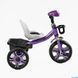Дитячий триколісний велосипед Best Trike BS-22603: сталева рама, великі колеса, фара 168718 фото 3